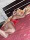 Private Photo of bellamorona79