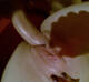 Private Photo of mielebaby