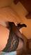 Private Photo of _Scarlett_Monique
