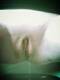 Private Photo of bimbamonella00