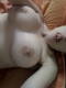 Private Photo of Lily_sexy_