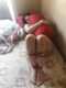 Private Photo of blackeyes-