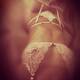 Intimo