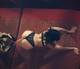 Private Photo of Maria_porcellina