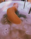 Private Photo of Margaret-21