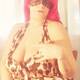 tigre
