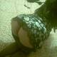 Private Photo of LatinaCalda24