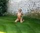 Foto privata di sabrina75