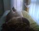 Private Photo of Gingerina