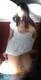 Private Photo of rosselladolcesexy