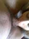 Private Photo of Azuna