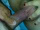 Private Photo of xsexangelx