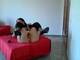 Private Photo of eva_cattiva
