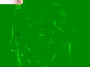 Amateur Video of Sweetsai