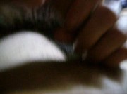 Amateur Video of pantera87